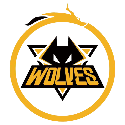 防守策略调 防守策略调